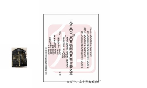 哪些植物的叶子功效最强-植物叶子有什么作用专区_植物叶子有什么作用专区_哪些植物的叶子功效网