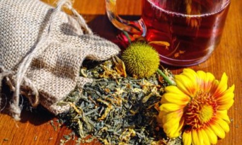 植物叶子有什么作用-植物叶子有什么作用专区_植物叶子有什么作用专区_哪些植物的叶子功效网