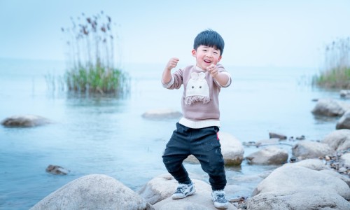 植物叶子有什么作用-植物叶子有什么作用专区_植物叶子有什么作用专区_哪些植物的叶子功效网